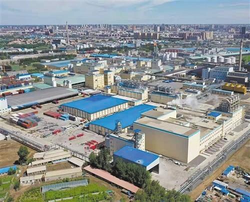 小玉米有大追求|嘉吉|松原|吉林|聯(lián)合國世界糧食計(jì)劃署|玉米