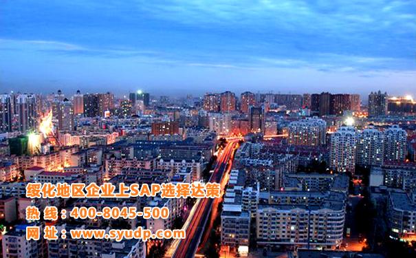 綏化erp軟件公司|綏化sap代理商|松原sap實(shí)施商選擇達(dá)策