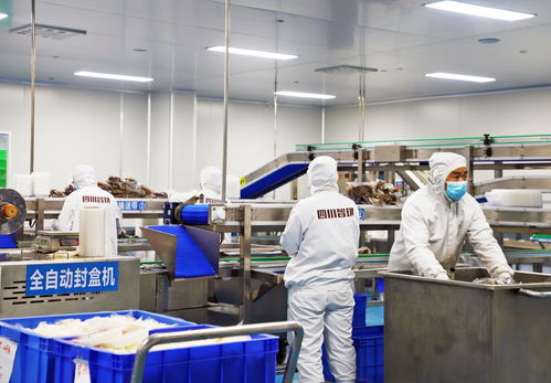 提質(zhì)擴能 廣元利州推動食品飲料產(chǎn)業(yè)闊步發(fā)展