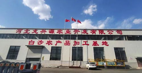 總投資23.86億元 武安16個(gè)項(xiàng)目開工